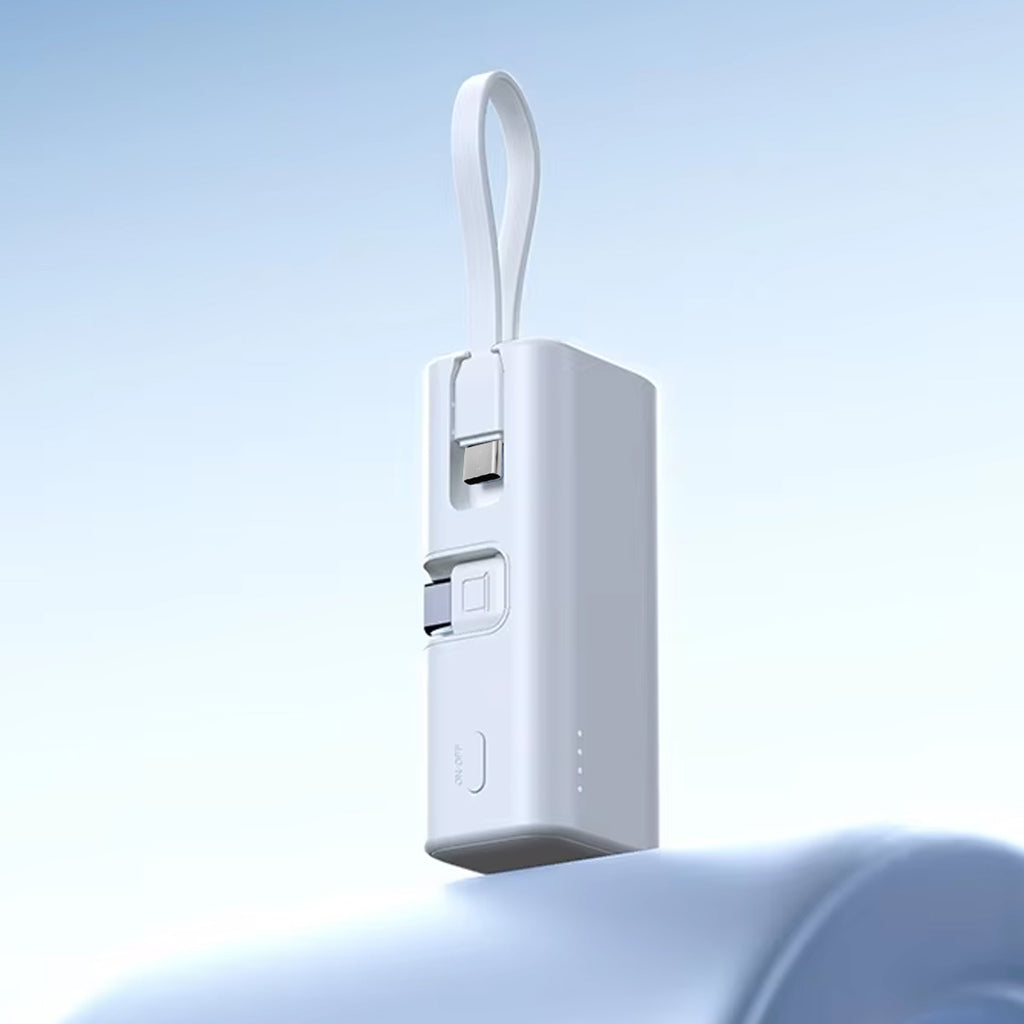 Power Brick Dual Mini Charger