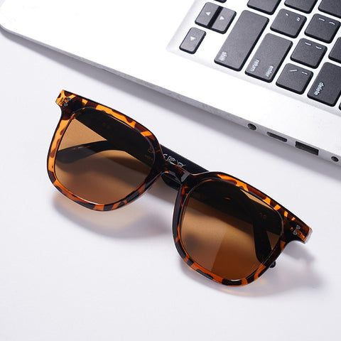 VocaLens AI Smart Sunglasses With Photochromic Lens Vista Shops