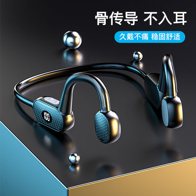 Clear Ears Direct Induction Earphones Vista Shops