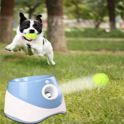 Go Fetch Fun and Games For Your Dog Vista Shops