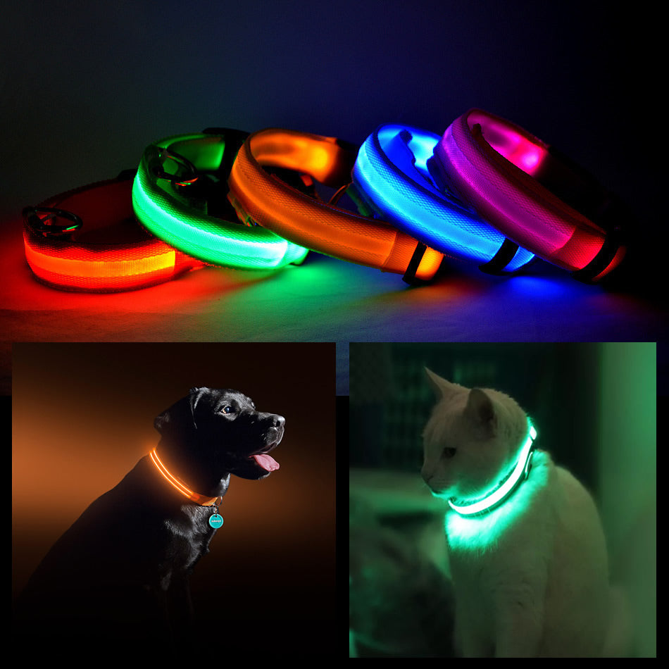 LED PET Safety Halo Style Collar Vista Shops