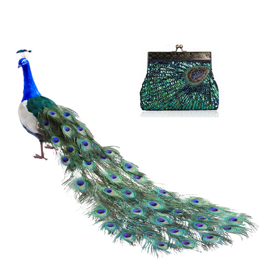 Peacock Crazy Clutch Eye-catching Ensemble In 8 Colors Vista Shops